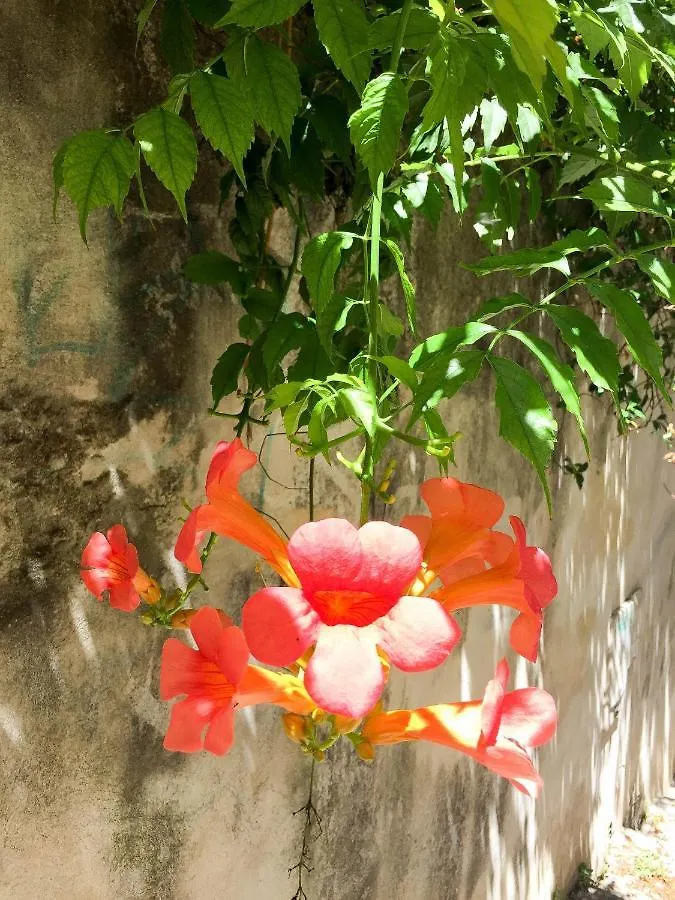 Holiday home Zen Arena, Clim - Terrasse Villa Arles France